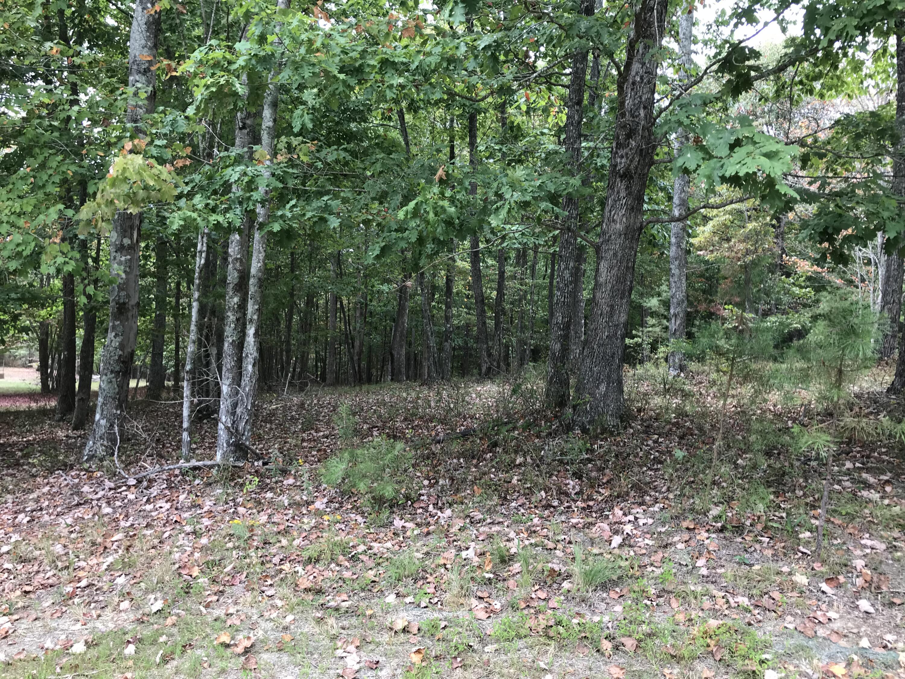 103-B Bluffview Drive #103-B, Dunlap, Tennessee image 12