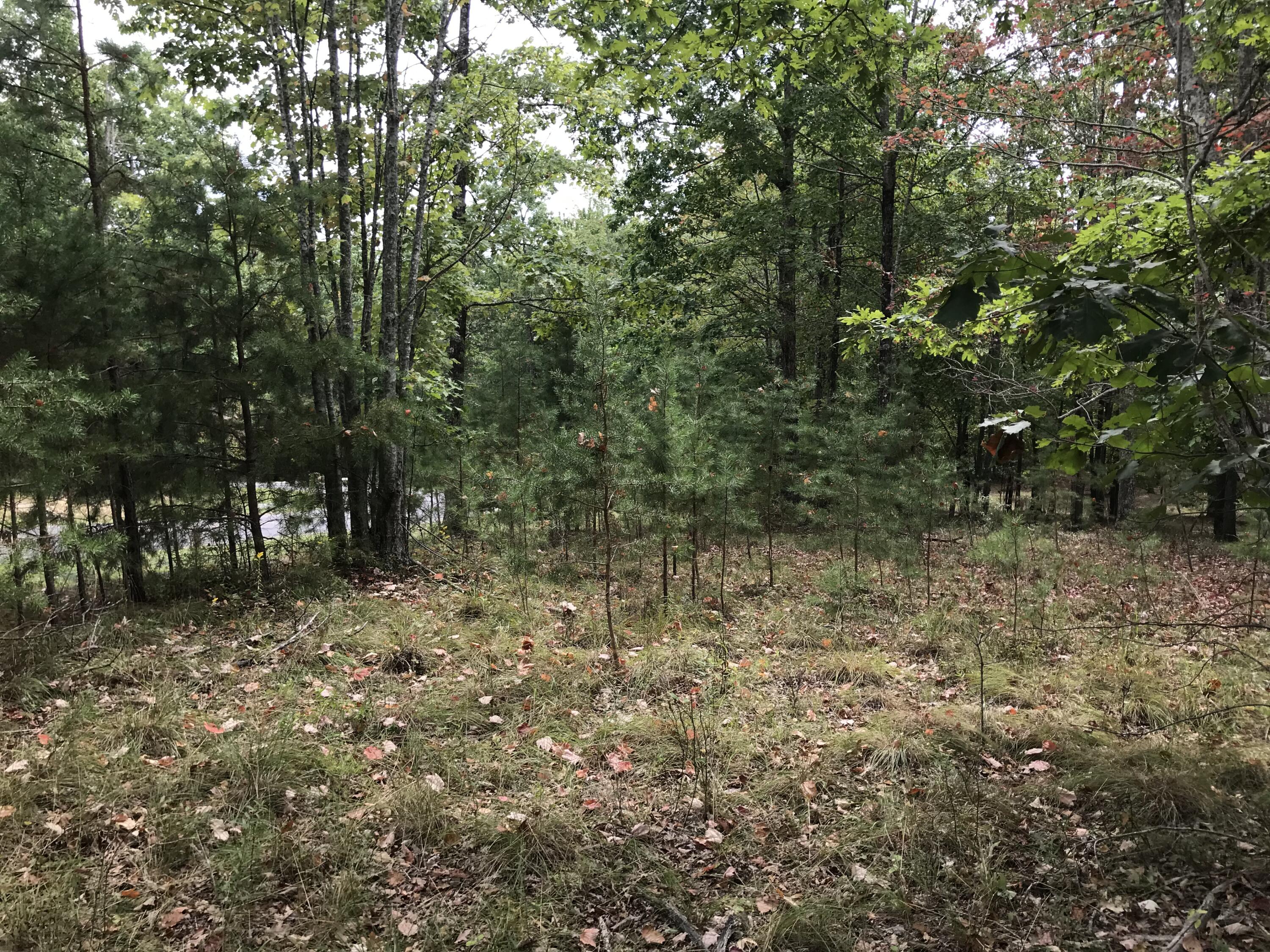 103-B Bluffview Drive #103-B, Dunlap, Tennessee image 14