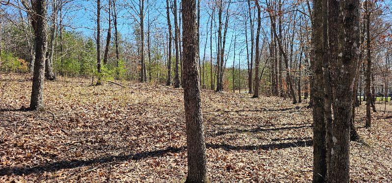 103-B Bluffview Drive #103-B, Dunlap, Tennessee image 25