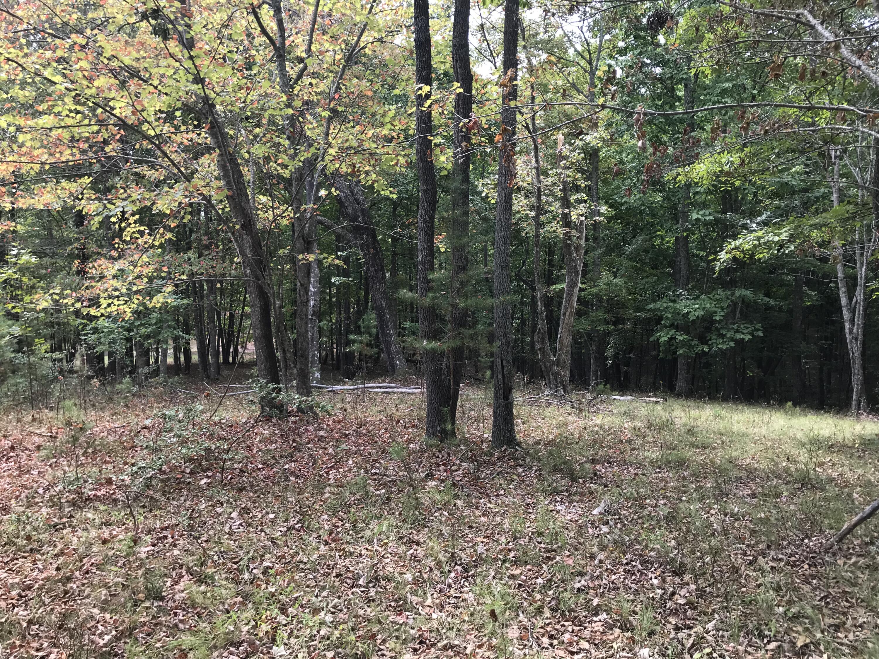 103-B Bluffview Drive #103-B, Dunlap, Tennessee image 6