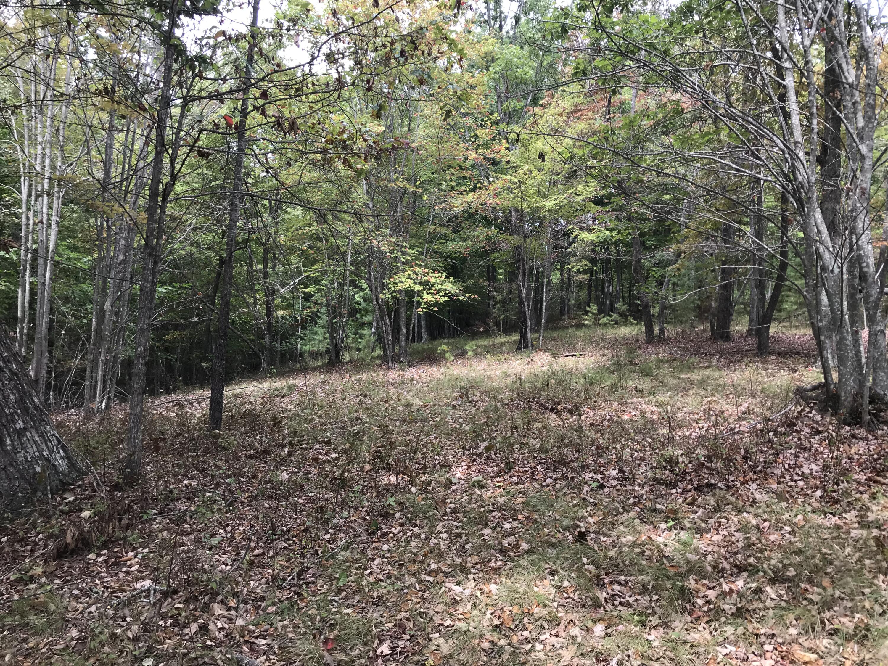 103-B Bluffview Drive #103-B, Dunlap, Tennessee image 19