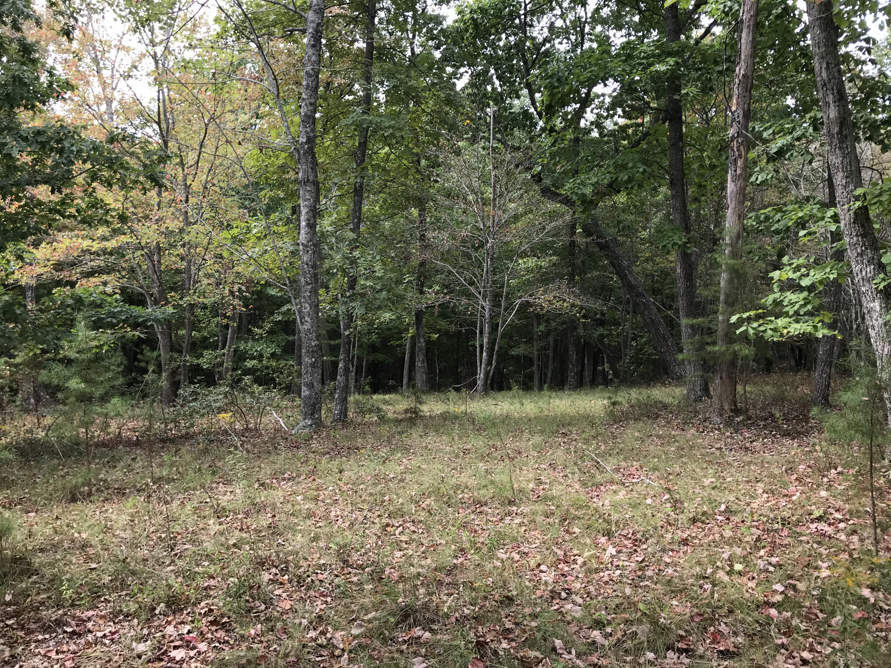 103-B Bluffview Drive #103-B, Dunlap, Tennessee image 8