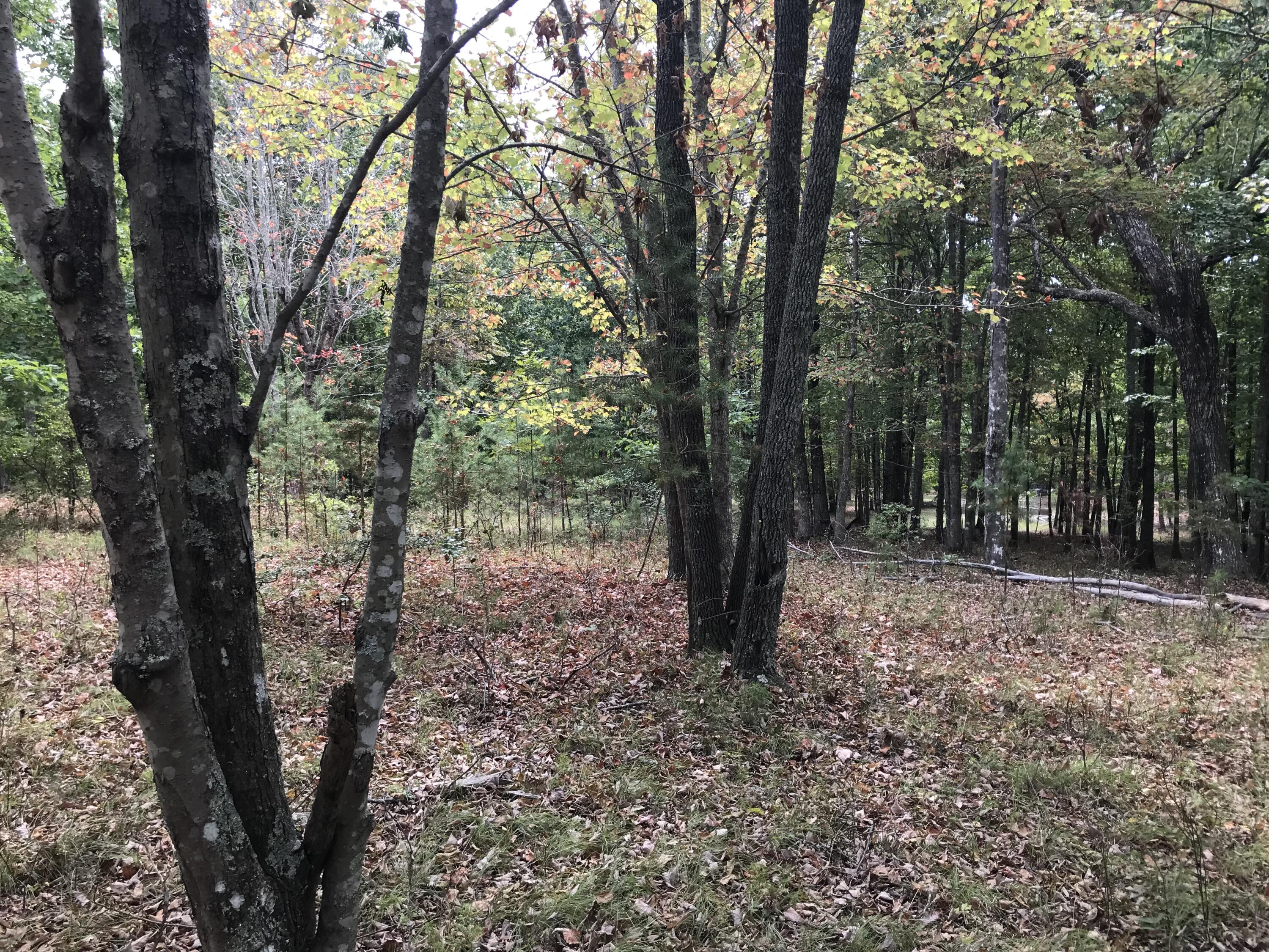 103-B Bluffview Drive #103-B, Dunlap, Tennessee image 18