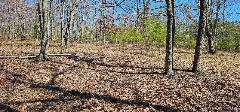 103-B Bluffview Drive #103-B, Dunlap, Tennessee image 5