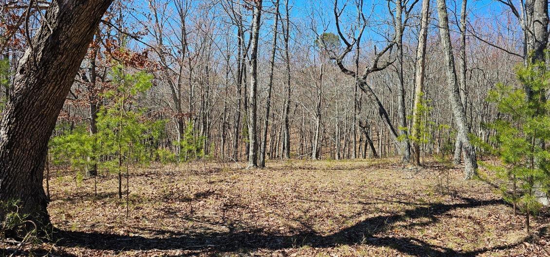 103-B Bluffview Drive #103-B, Dunlap, Tennessee image 1