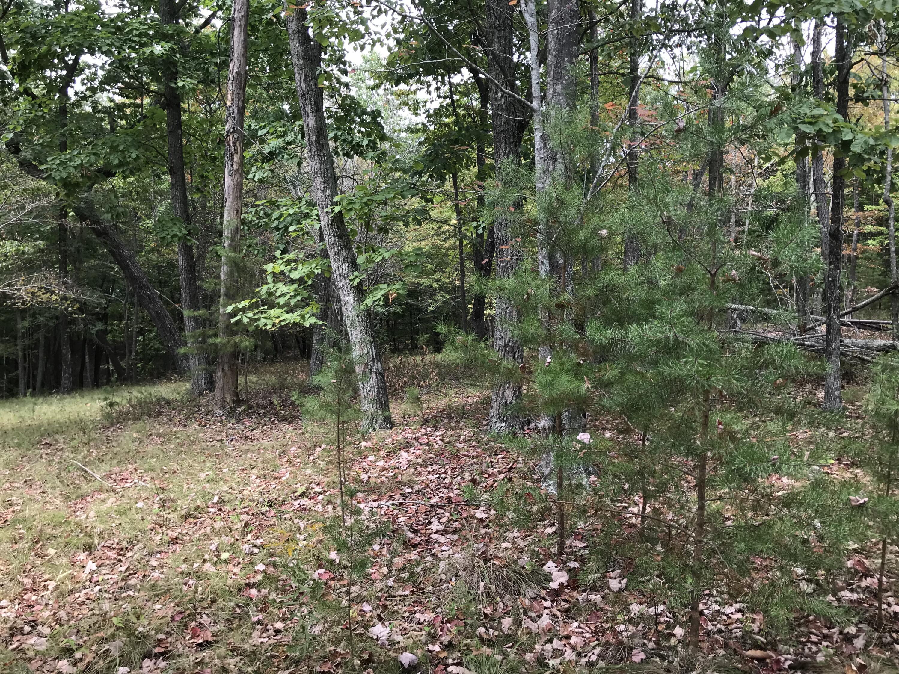 103-B Bluffview Drive #103-B, Dunlap, Tennessee image 15