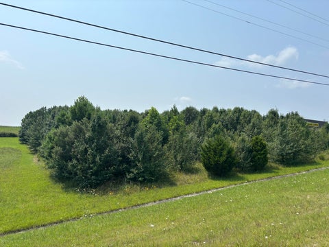 Photo of 0 S R 8 Drive, Dunlap, TN 37327 (MLS # 1539681)