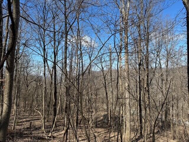 176 Sr 108, Morrison, Tennessee image 6