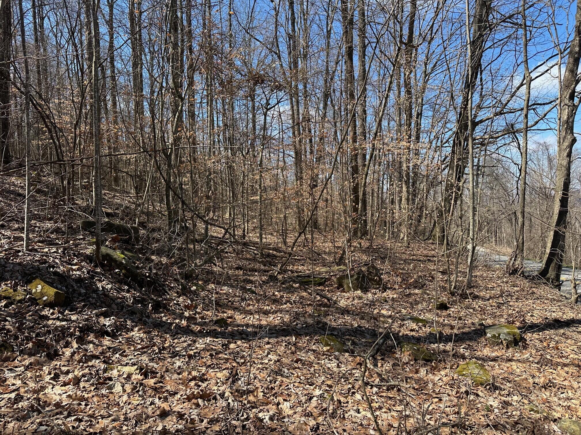 176 Sr 108, Morrison, Tennessee image 1