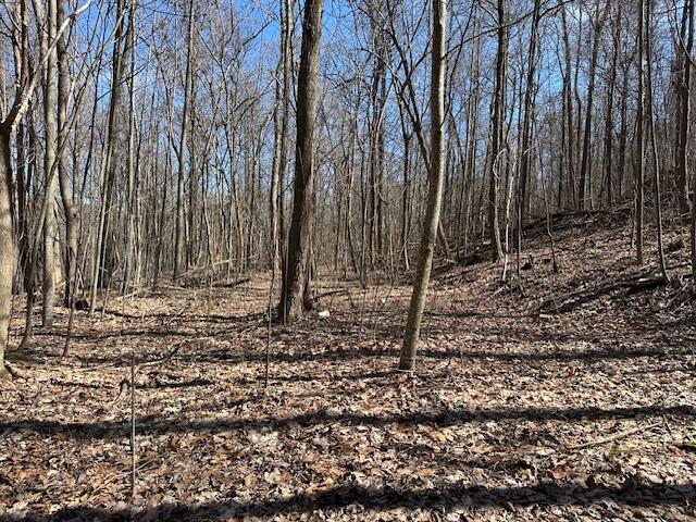 176 Sr 108, Morrison, Tennessee image 17