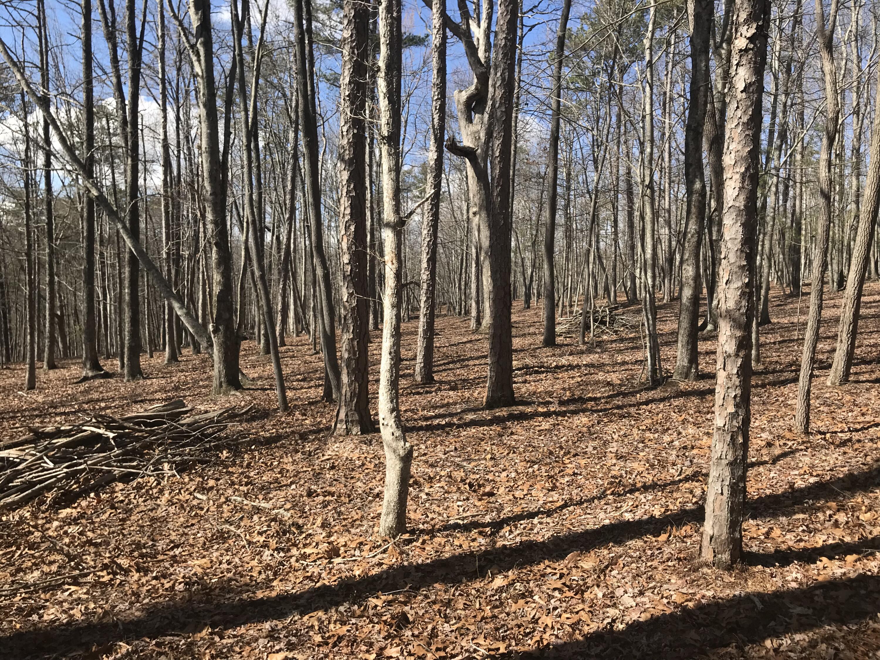 30-B Cosmos Trail #30-B, Dunlap, Tennessee image 8
