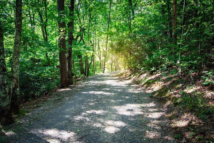 30-B Cosmos Trail #30-B, Dunlap, Tennessee image 41