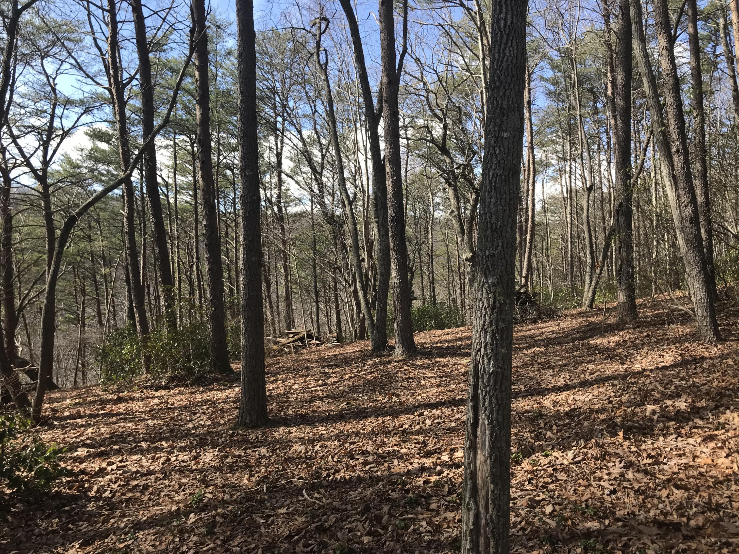 30-B Cosmos Trail #30-B, Dunlap, Tennessee image 18