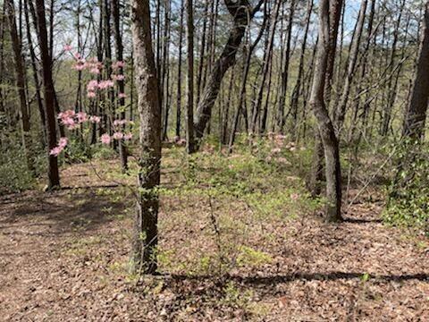 30-B Cosmos Trail #30-B, Dunlap, Tennessee image 16