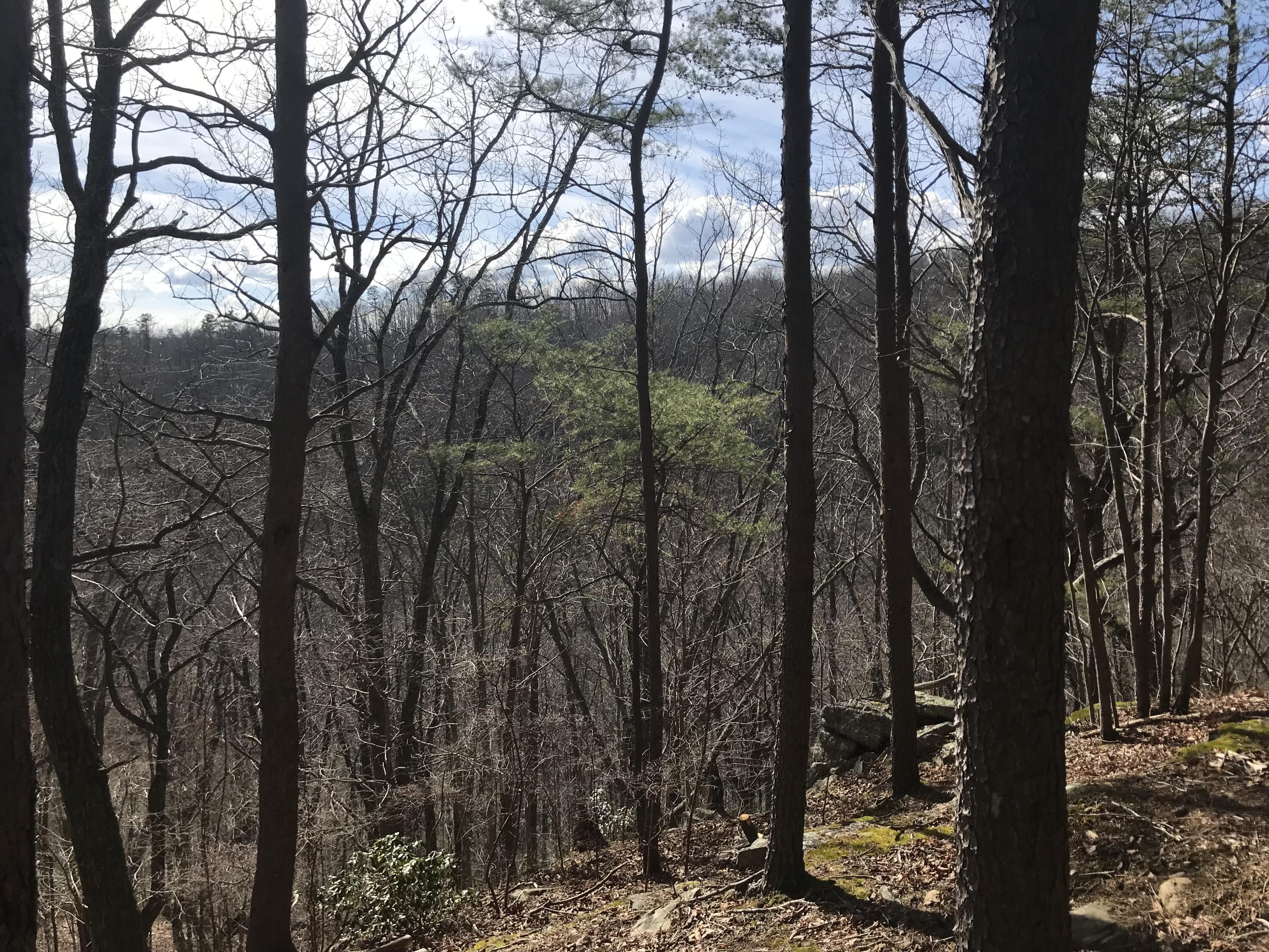 30-B Cosmos Trail #30-B, Dunlap, Tennessee image 6