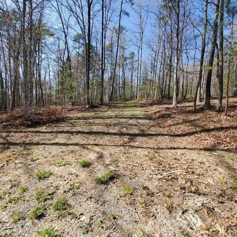 30-B Cosmos Trail #30-B, Dunlap, Tennessee image 14