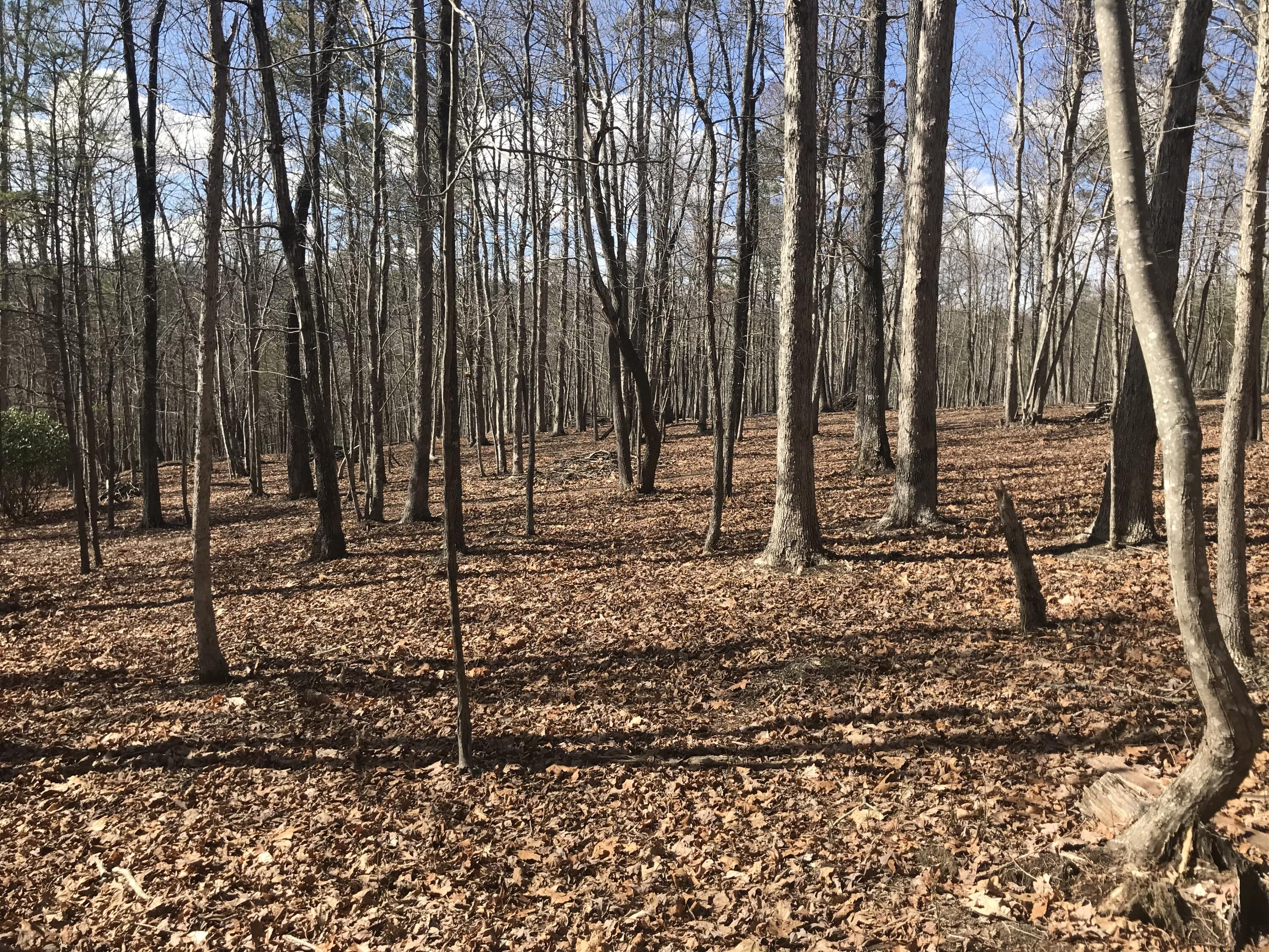 30-B Cosmos Trail #30-B, Dunlap, Tennessee image 1