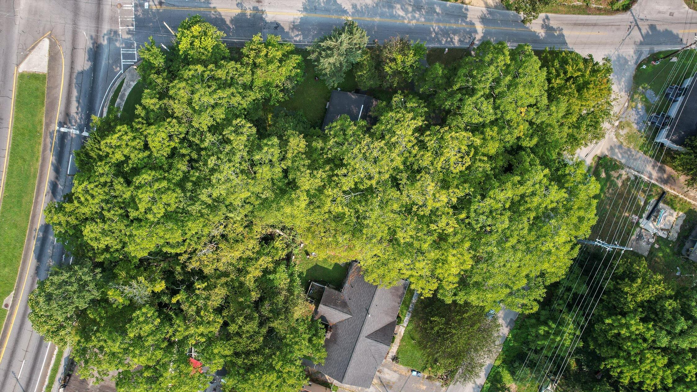 Rossville, Georgia 30741, United States, ,Land,Active,206709