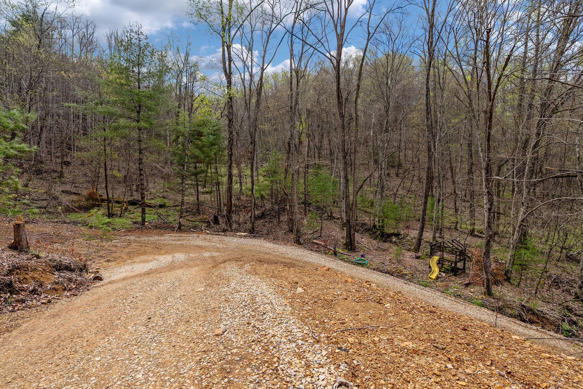 Johns Creek Road, Del Rio, Tennessee image 13