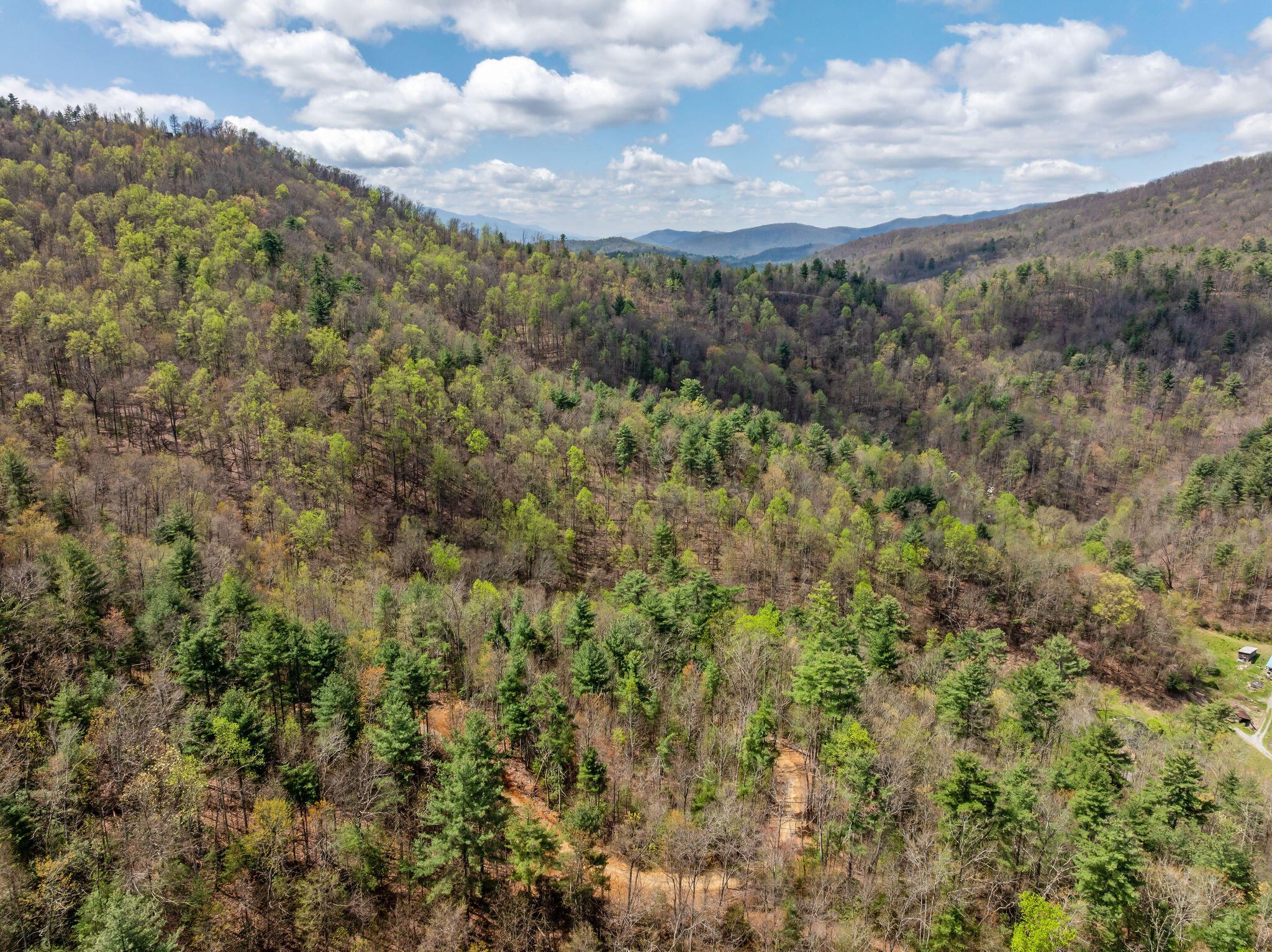 Johns Creek Road, Del Rio, Tennessee image 5