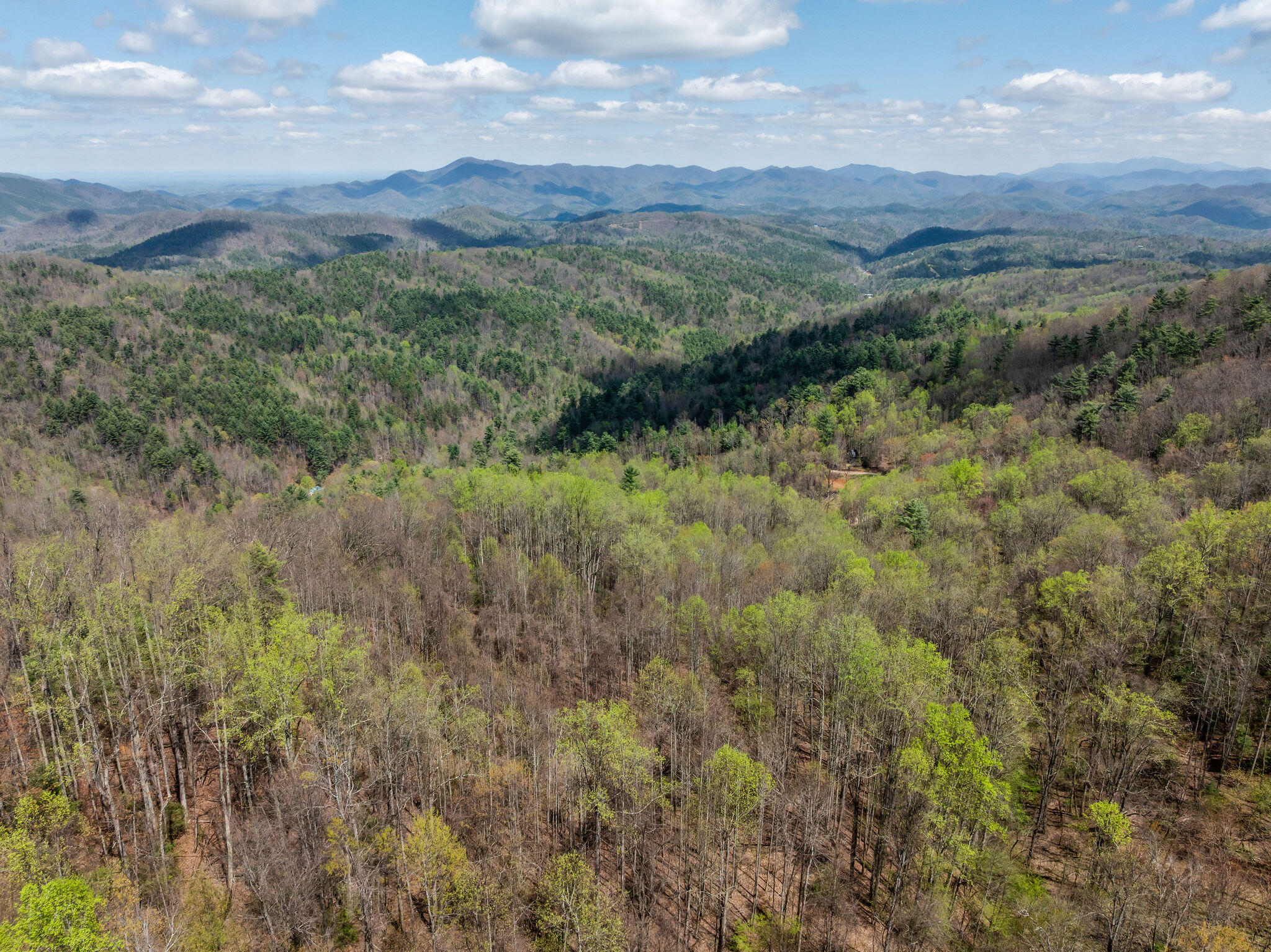 Johns Creek Road, Del Rio, Tennessee image 6