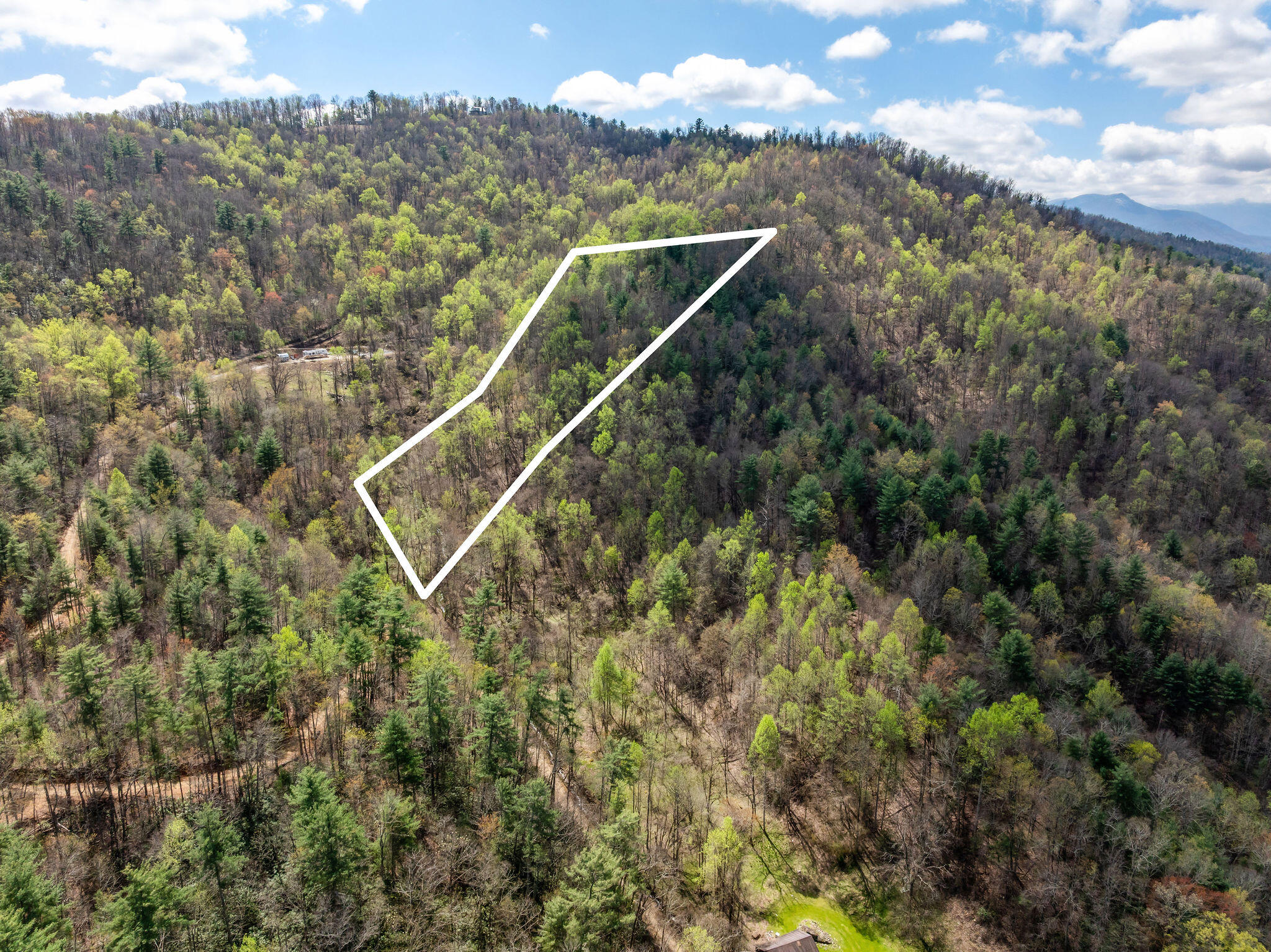Johns Creek Road, Del Rio, Tennessee image 3