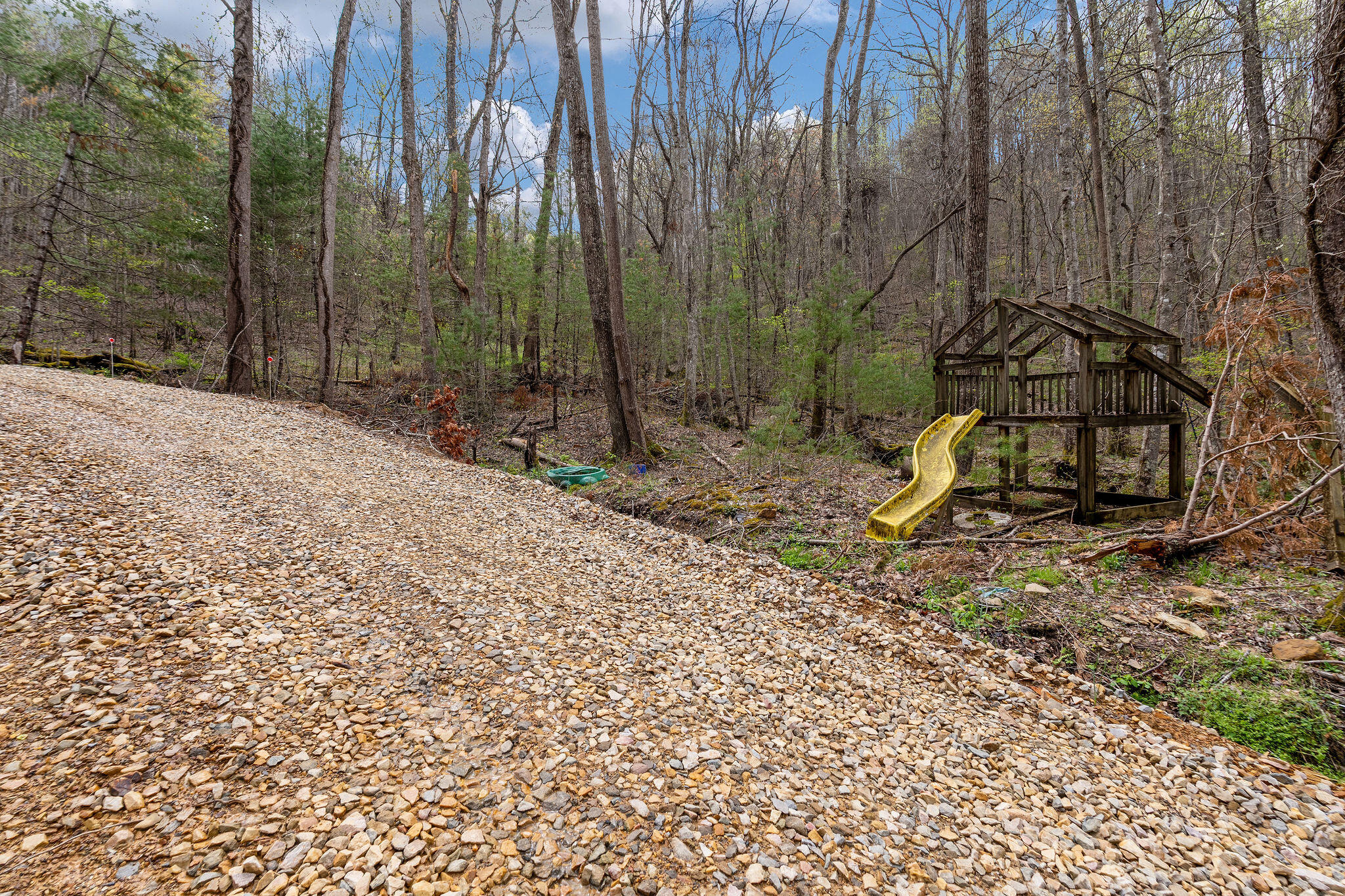 Johns Creek Road, Del Rio, Tennessee image 12