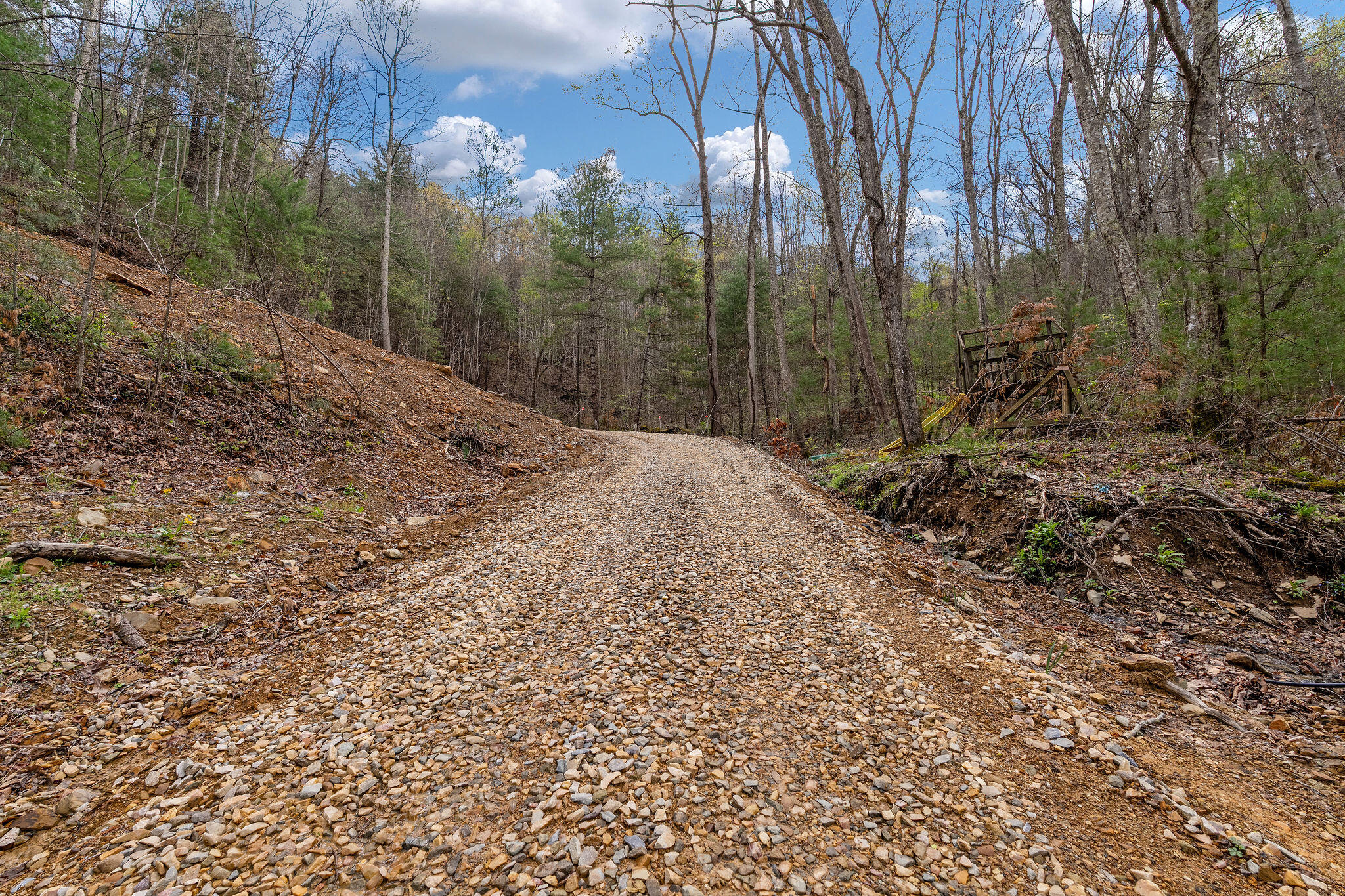 Johns Creek Road, Del Rio, Tennessee image 11