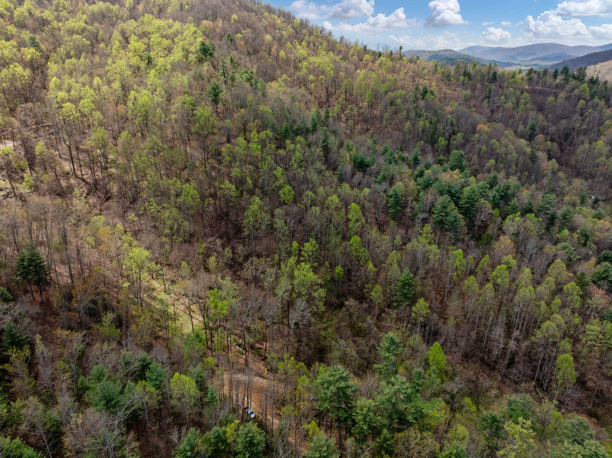 Johns Creek Road, Del Rio, Tennessee image 8