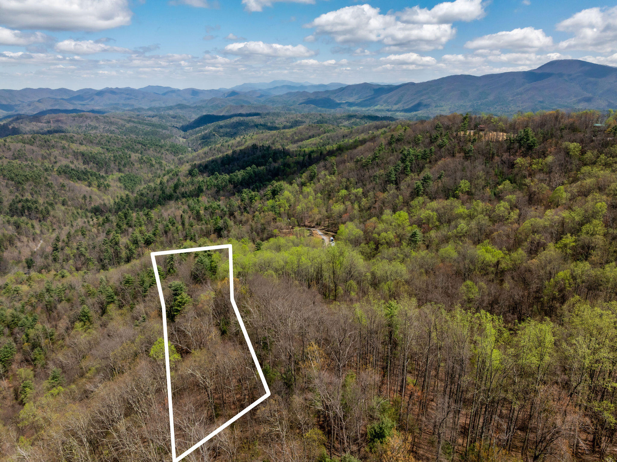 Johns Creek Road, Del Rio, Tennessee image 7