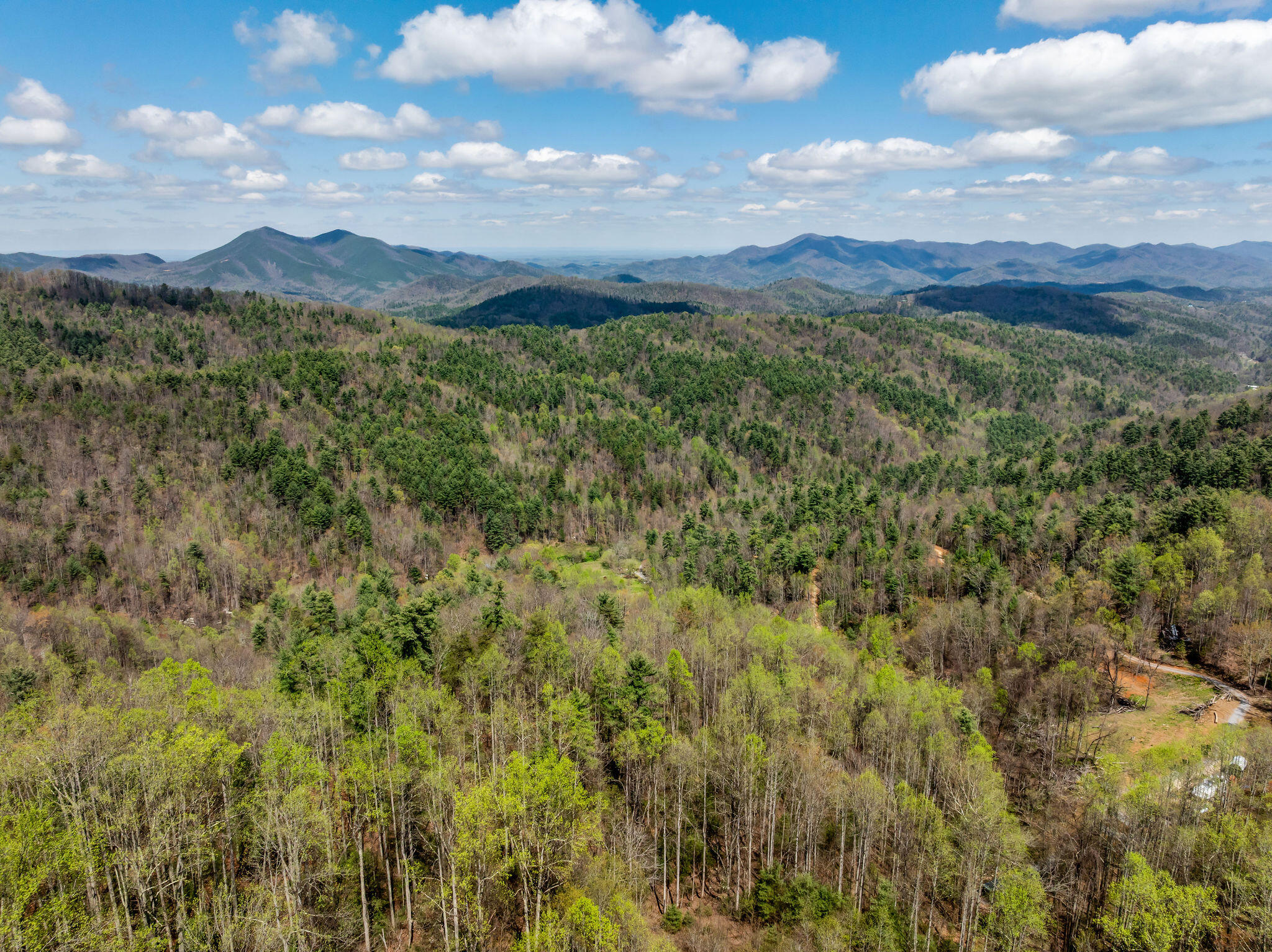 Johns Creek Road, Del Rio, Tennessee image 9