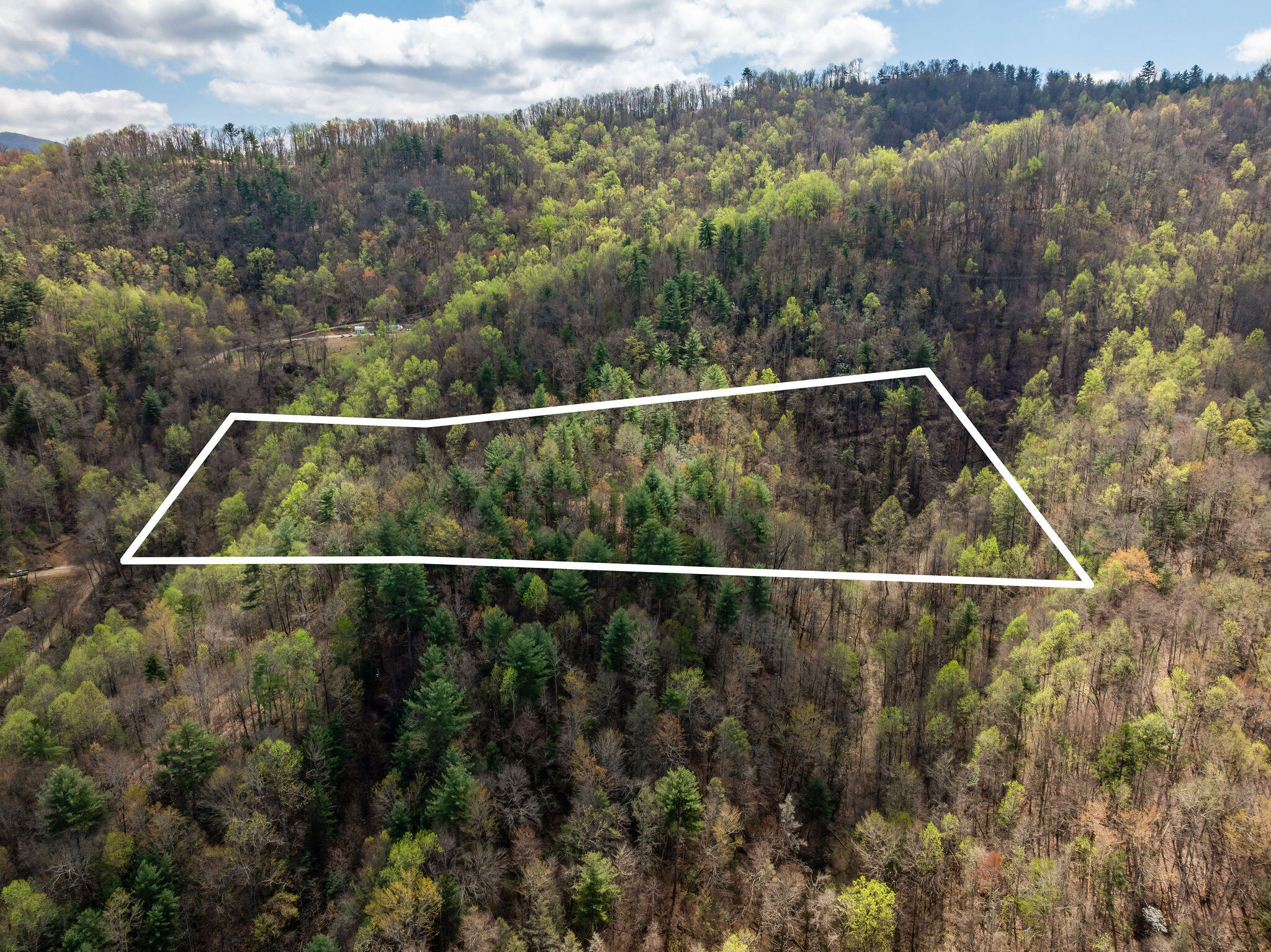 Johns Creek Road, Del Rio, Tennessee image 4