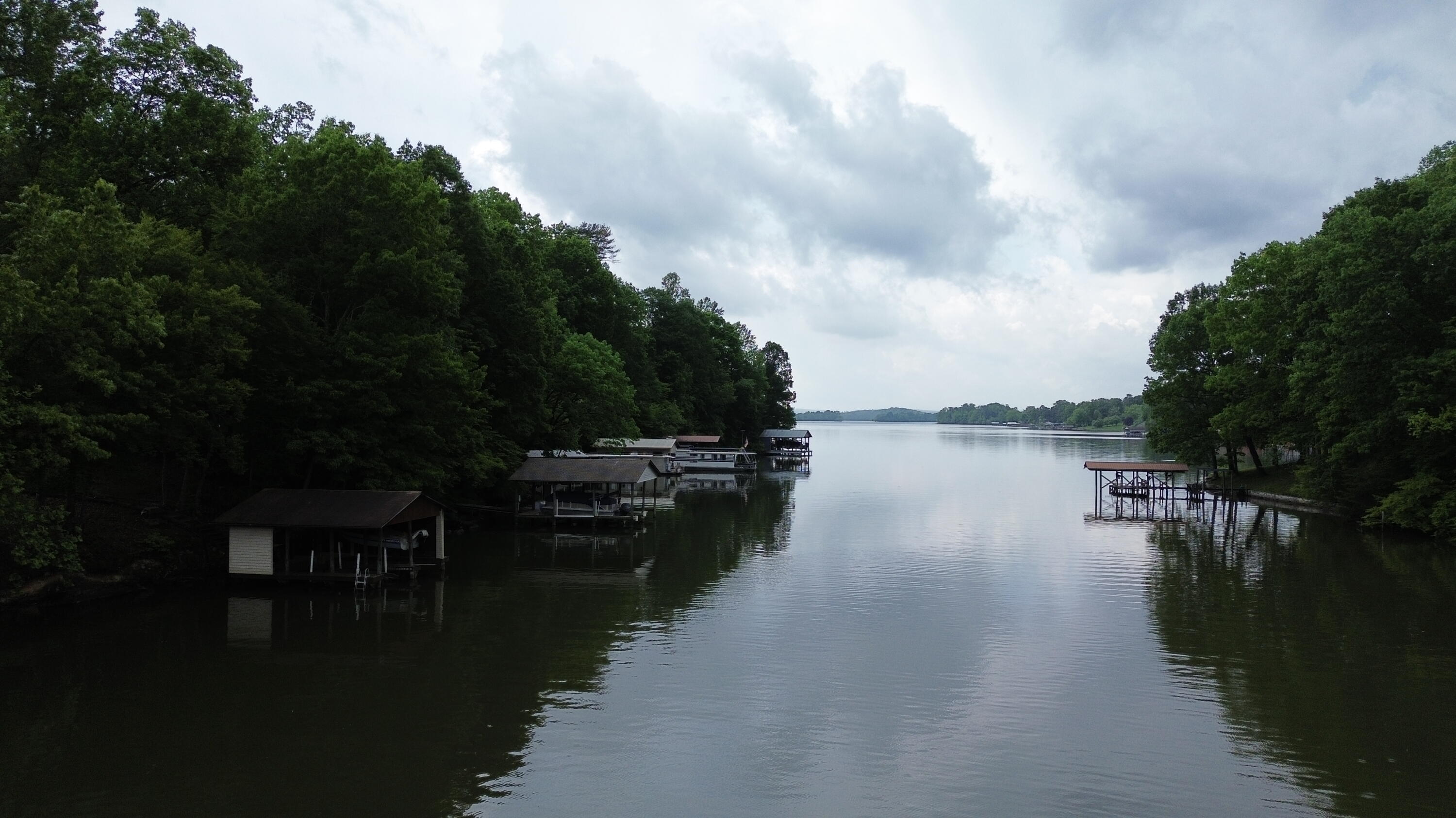 663 Dogwood Drive, Spring City, Tennessee image 6