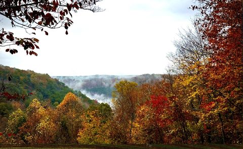 Tiny photo for 2318 Little Bend Road, Signal Mountain, TN 37377 (MLS # 1527326)