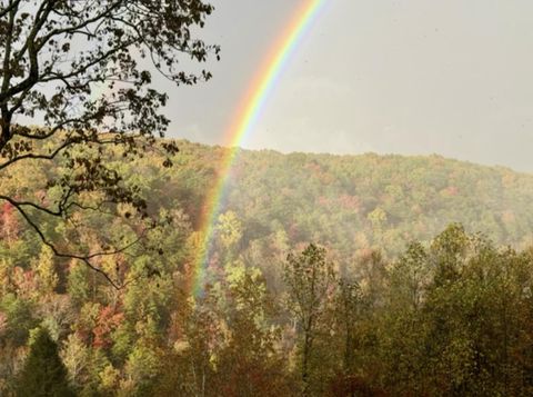 Tiny photo for 2318 Little Bend Road, Signal Mountain, TN 37377 (MLS # 1527326)