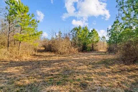 Tiny photo for 2219-2 Sugar Creek Road, Crandall, GA 30711 (MLS # 1526790)