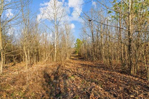 Tiny photo for 2219-2 Sugar Creek Road, Crandall, GA 30711 (MLS # 1526790)