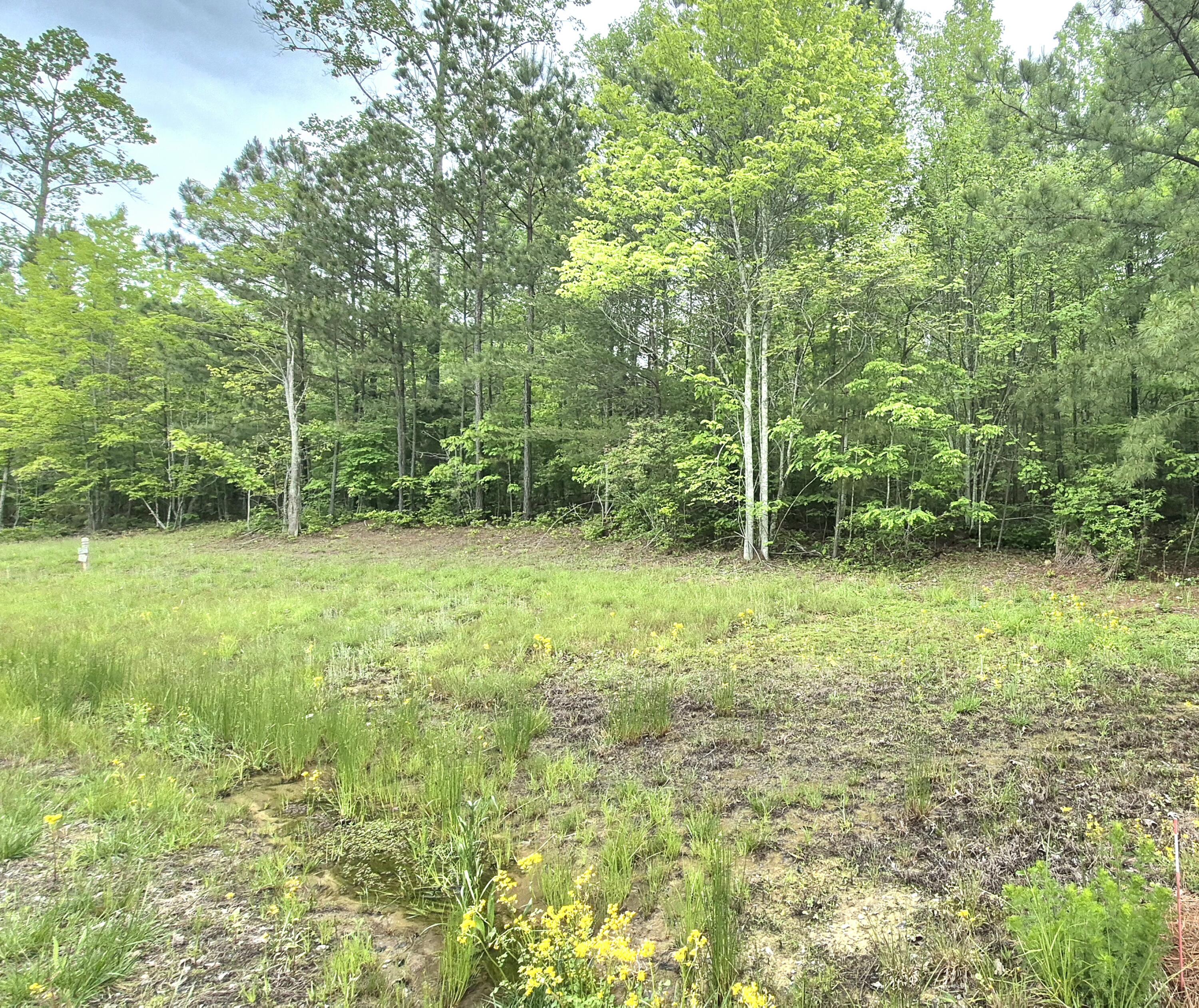 6070 Raulston Falls Road #LOT 97, Jasper, Tennessee image 4