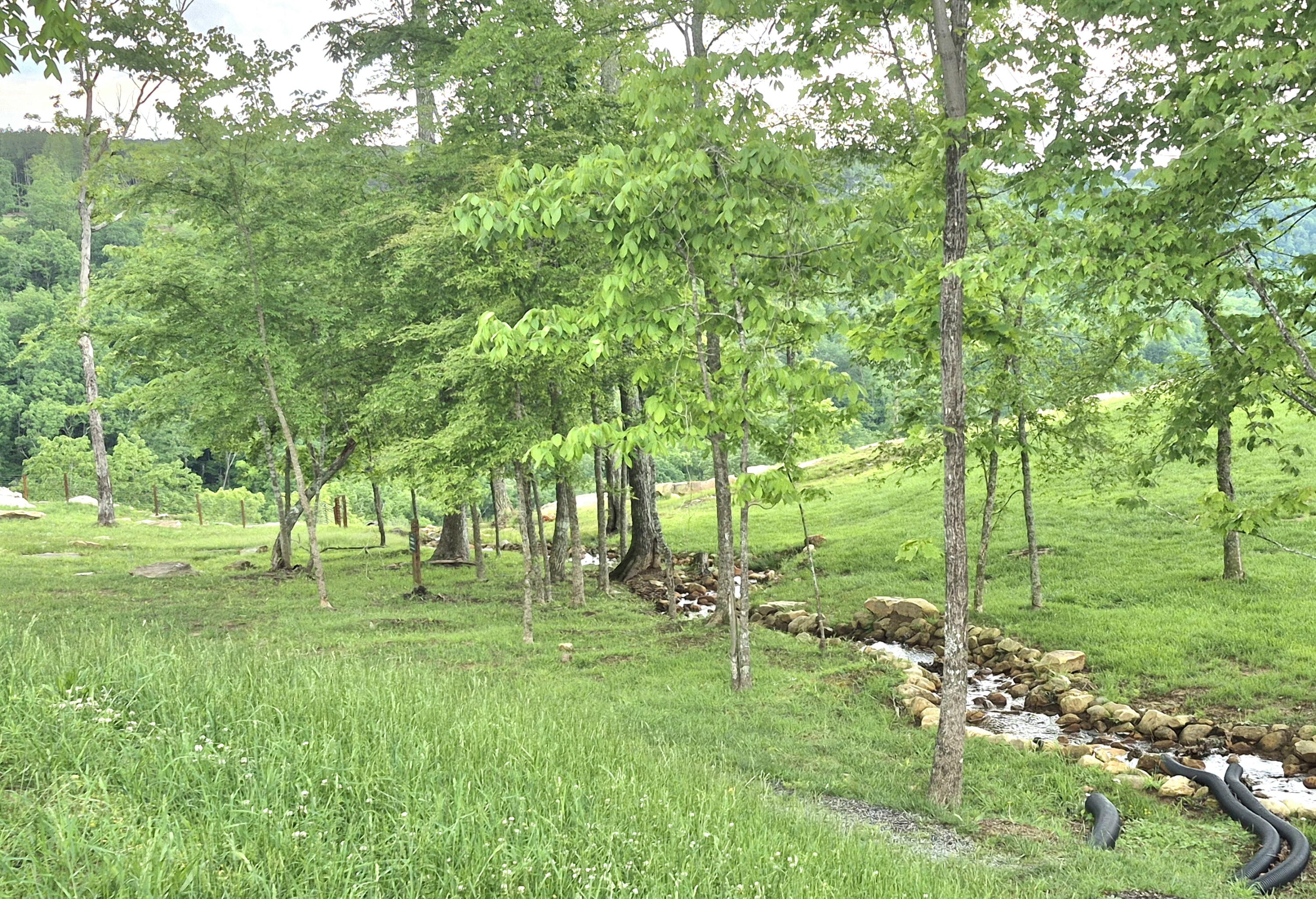 6070 Raulston Falls Road #LOT 97, Jasper, Tennessee image 11