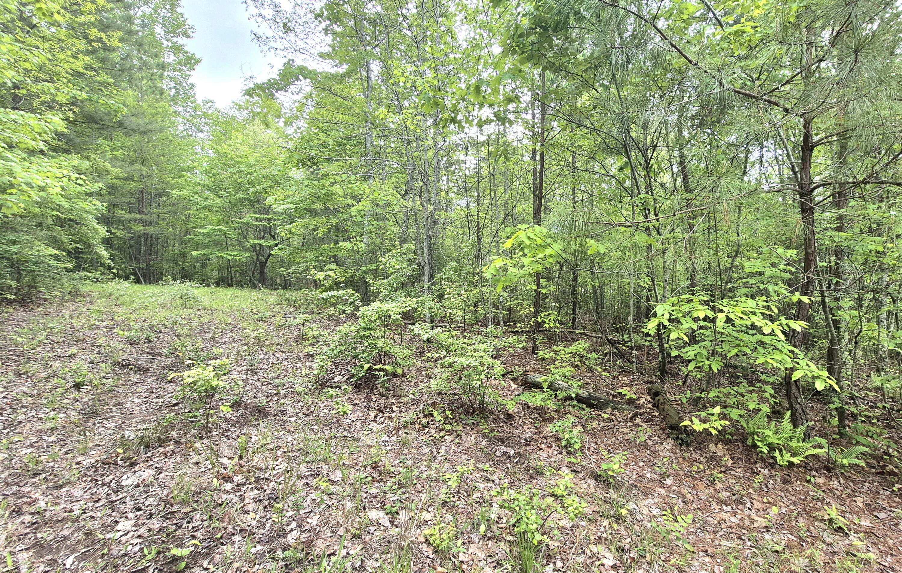 6070 Raulston Falls Road #LOT 97, Jasper, Tennessee image 3