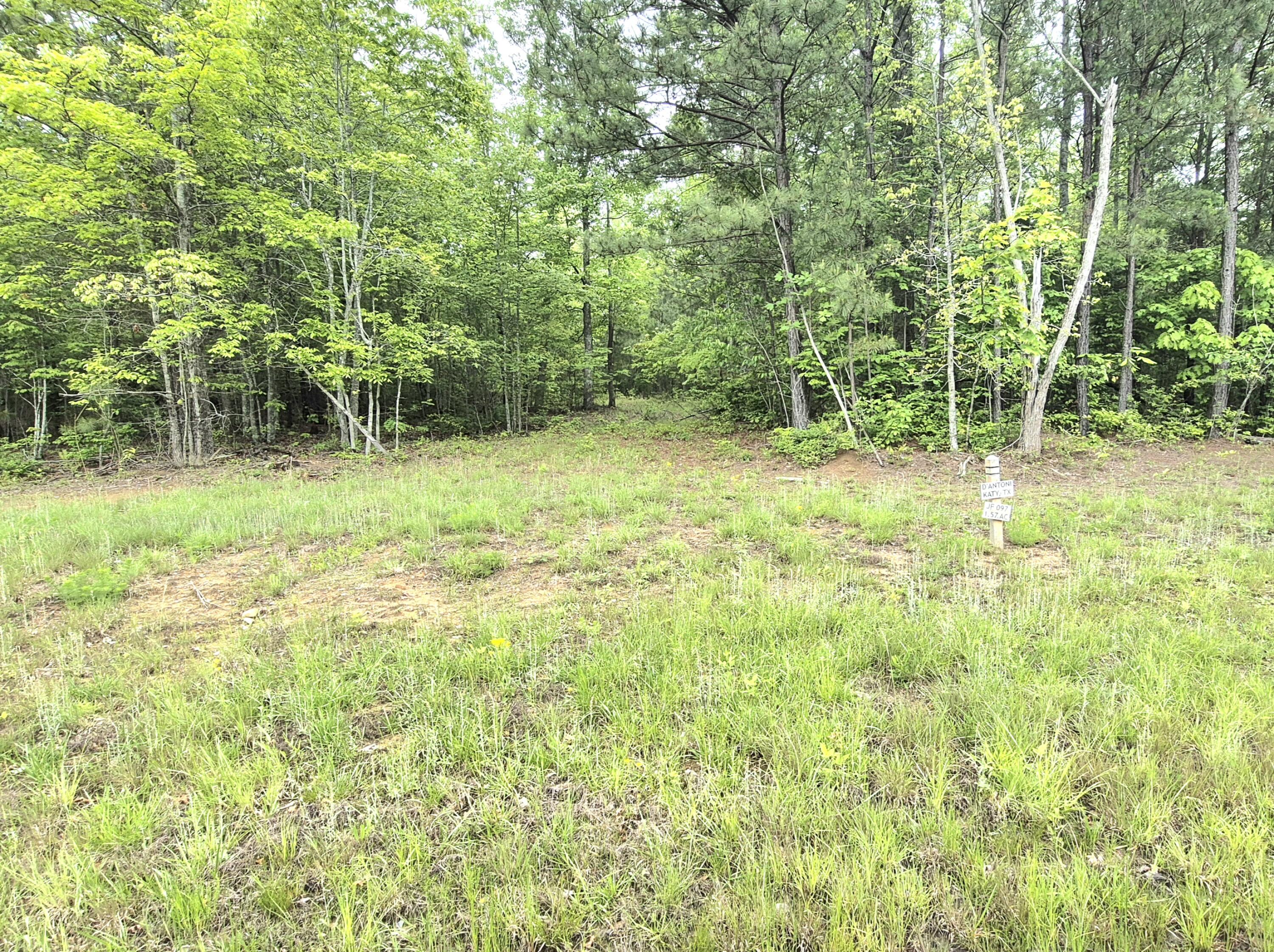 6070 Raulston Falls Road #LOT 97, Jasper, Tennessee image 2