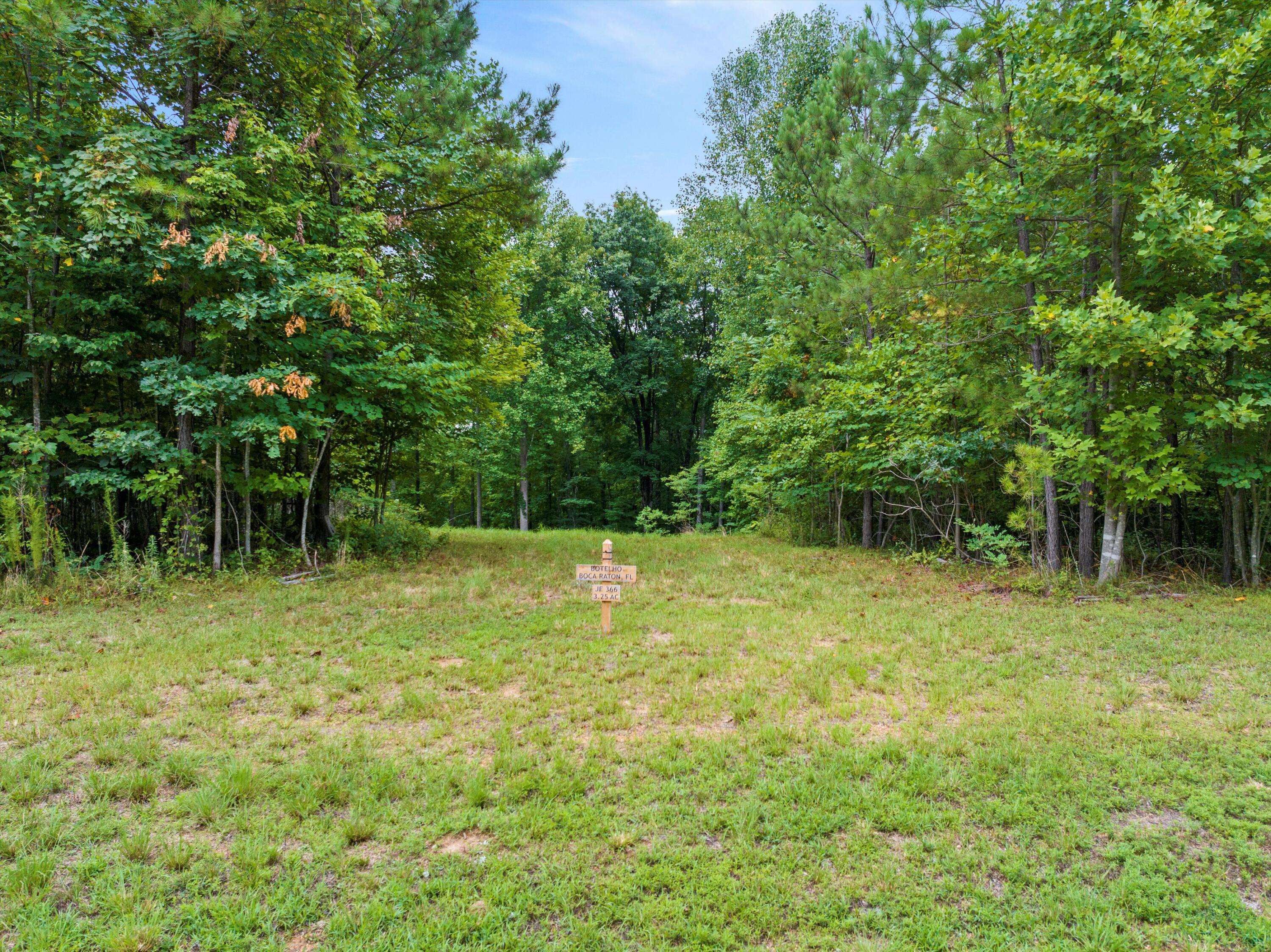 366 Volunteer Street, Jasper, Tennessee image 4