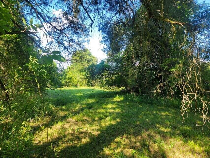 4635 Old Dixie Highway Off Highway, Evensville, Tennessee image 39