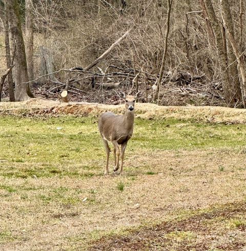 Tiny photo for 959 Lower Mill Road, Hixson, TN 37343 (MLS # 1528700)