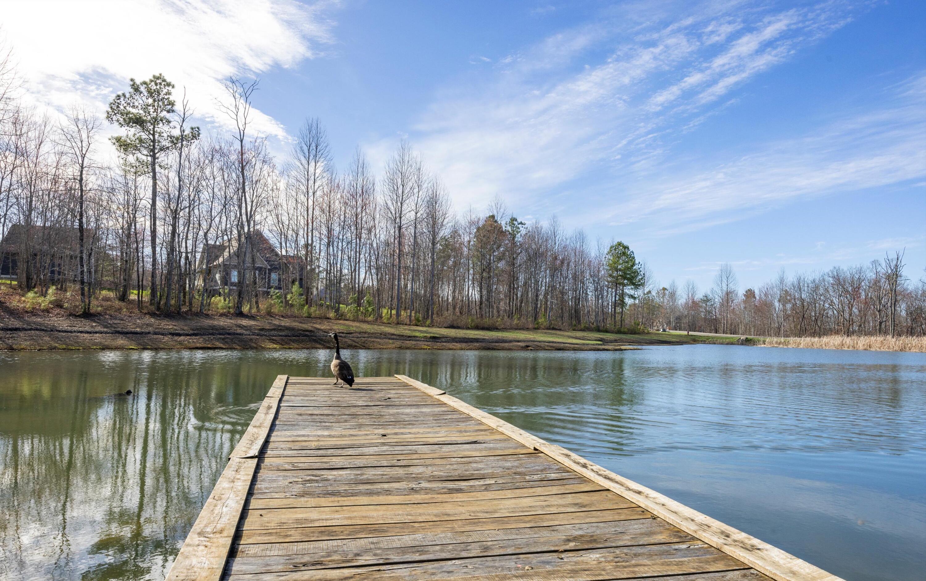 River Bluffs Drive #RB40, Jasper, Tennessee image 19