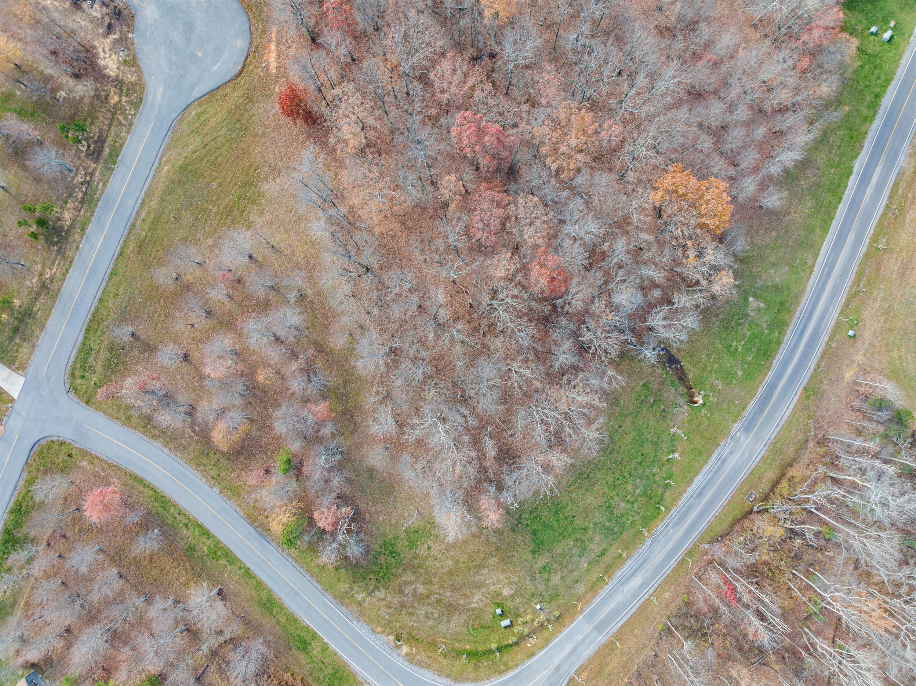 River Bluffs Drive #RB40, Jasper, Tennessee image 3