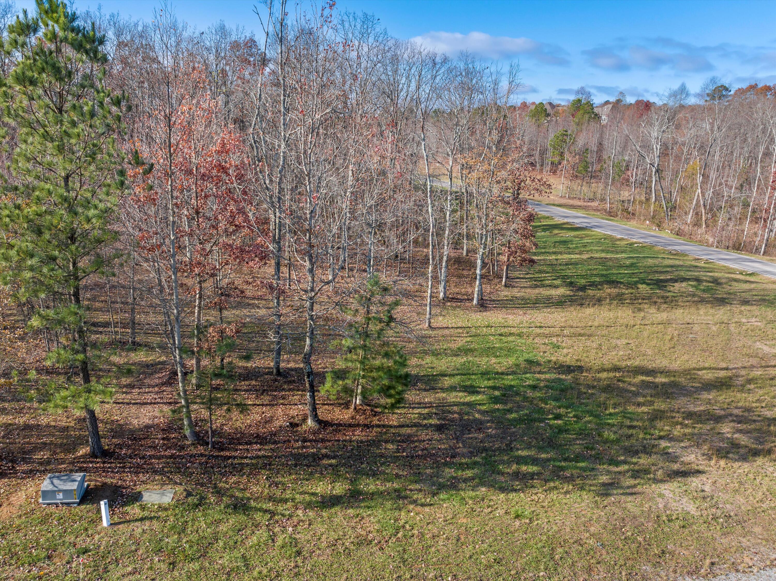 River Bluffs Drive #RB40, Jasper, Tennessee image 9