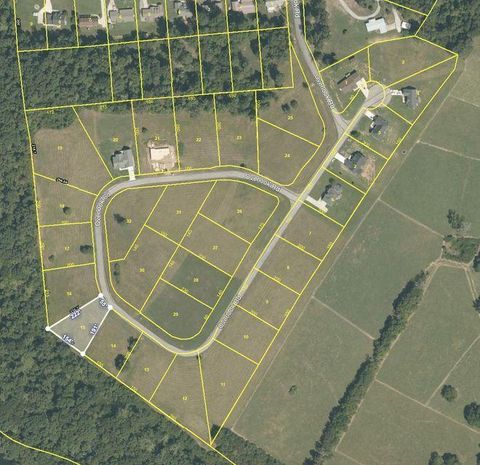 Photo of 387 Overlook Drive, Dayton, TN 37321 (MLS # 1360635)