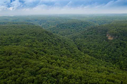 Photo of 916 N Rim Drive, Coalmont, TN 37313 (MLS # 1531654)