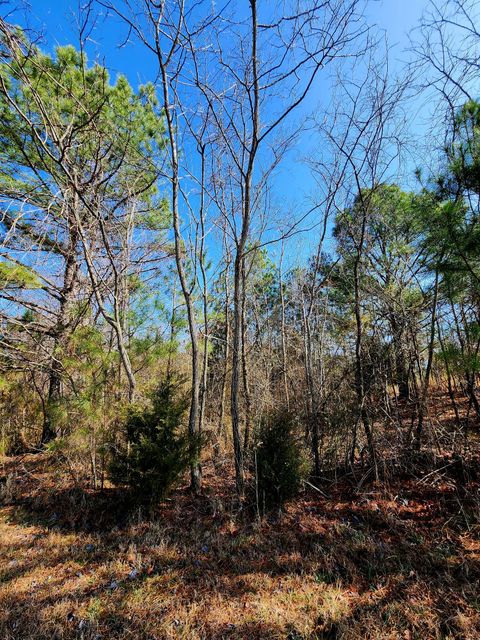 Tiny photo for 255 Falling Cliff Drive, South Pittsburg, TN 37380 (MLS # 1529035)